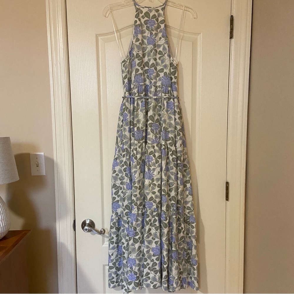Hermoza Blue and Green Floral Maxi Dress - Picture 2 of 14